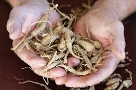 bitarteko naturalak dituzten gizonezkoen potentzia handituz